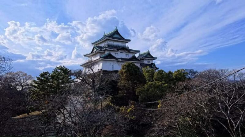 Osaka/Kyoto: Mt. Koya & Nachi Falls UNESCO Private Day Tour - Exploring Mt. Koya: The Spiritual Core of the Tour