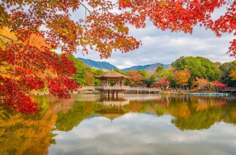 Osaka: Kyoto / Nara Custom Walking Tour in Public Transport - The Sum Up: Who’s This Tour Perfect For?