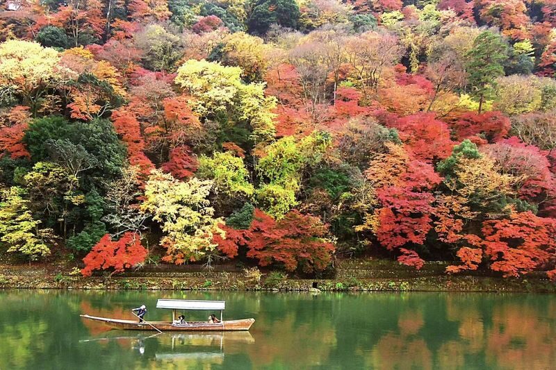 Osaka Kyoto & Nara Full-Day Private Tour with Customizable Itinerary - Kyoto’s bamboo, temples, markets, and lanes