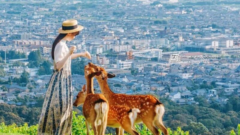 Osaka: Kyoto, Nara, Fushimi Inari, and Arashiyama Tour - Good To Know