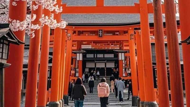 Osaka: Kyoto, Nara, Fushimi Inari, and Arashiyama Tour - The Itinerary and What to Expect