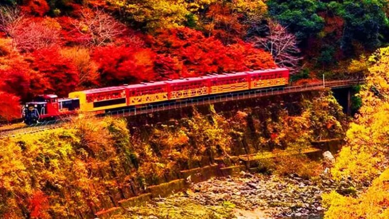 Osaka: Kyoto, Nara, Fushimi Inari, and Arashiyama Tour - Final Thoughts