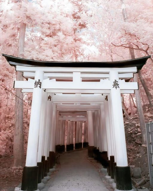 Osaka/Kyoto/Nara Highlights Tour With English-Speaking Guide - Must-See Attractions