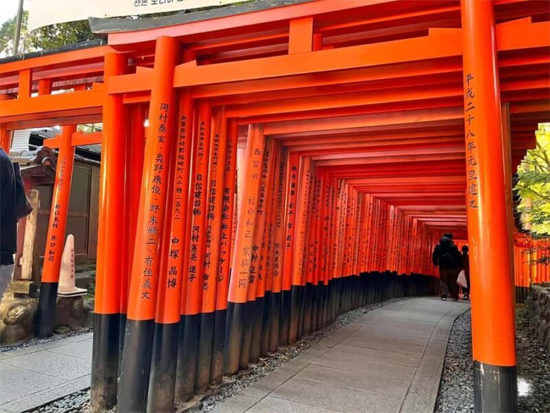 Osaka: Kyoto & Nara Park Deer Sighting Tour /w Hotel Pickup - Who Would Love This Tour?