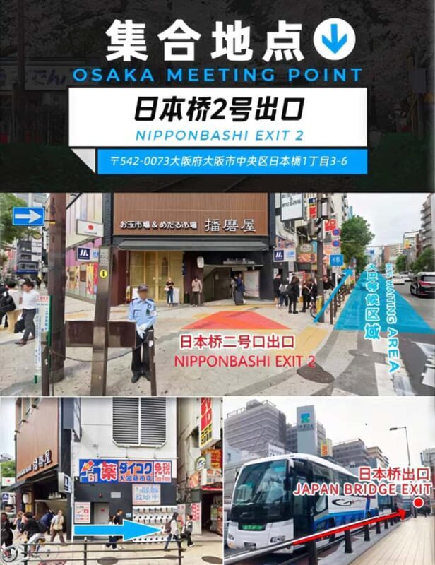 Osaka: Kyoto & Nara Park Deer Sighting Tour /w Hotel Pickup - An In-Depth Look at the Tour Experience