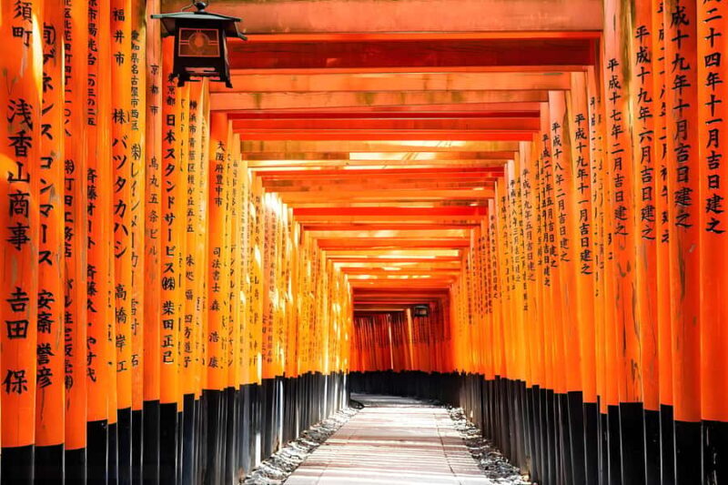 Osaka: Kyoto & Nara UNESCO Heritage Small Group Tour - Who Will Love This Tour?