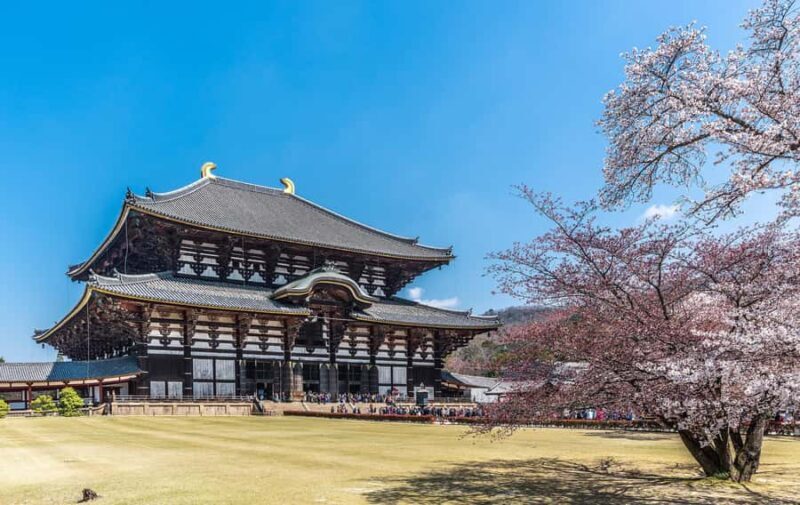 Osaka: Kyoto & Nara UNESCO Heritage Small Group Tour - Osaka: Kyoto & Nara UNESCO Heritage Small Group Tour Review