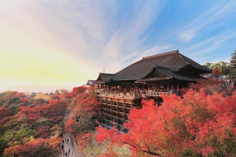 Osaka: Kyoto & Nara UNESCO Heritage Small Group Tour - The Authenticity and Value of the Tour