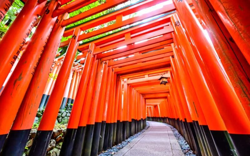 Osaka Kyoto: Nijo Castle, Nara, Arashiyama, Day Trip by Bus - An In-Depth Look at the Tour Experience — What You Can Expect