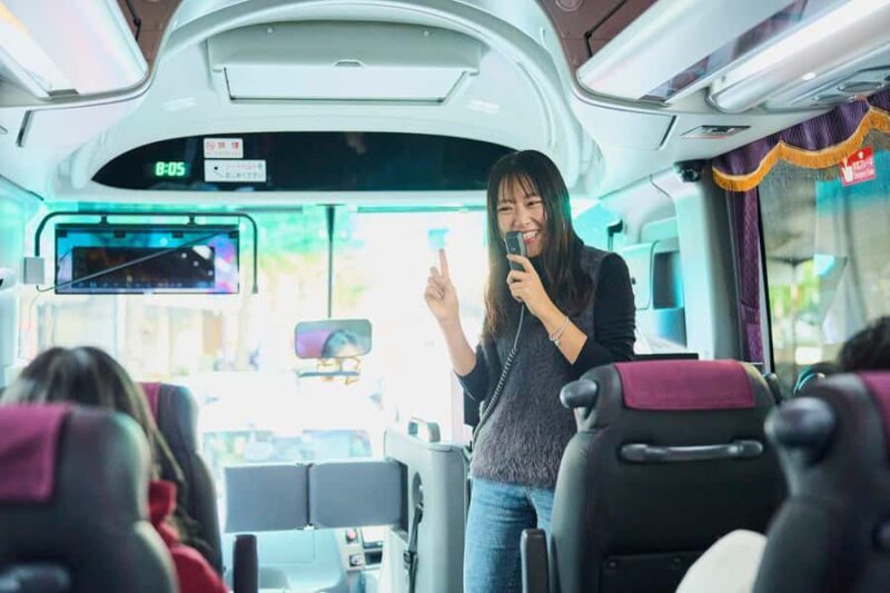 Osaka Kyoto: Nijo Castle, Nara, Arashiyama, Day Trip by Bus - The Itinerary in Detail: What to Expect