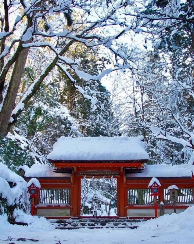 Osaka: Kyoto Private Day Tour with Sagano Scenic Railway - Final Thoughts