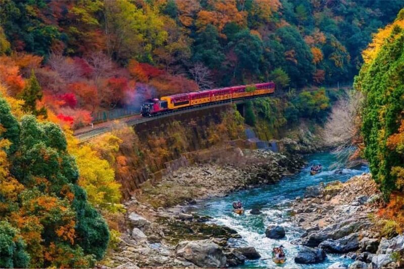 Osaka: Kyoto Private Day Tour with Sagano Scenic Railway - An In-Depth Look at the Tour Experience