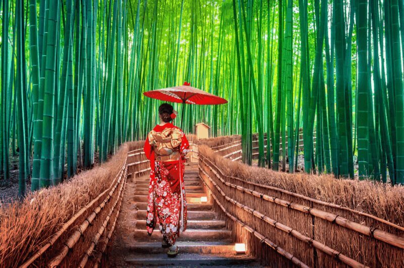 Osaka/Kyoto: Private Kyoto and Nara Day Trip - Good To Know