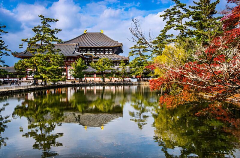 Osaka/Kyoto: Private Kyoto and Nara Day Trip - Wrapping Up