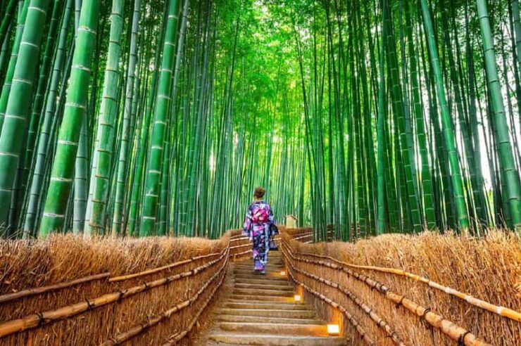 Osaka/Kyoto: Sanzenin, Arashiyama Train, Bamboo Forest Trip - Sanzen-in Temple Experience