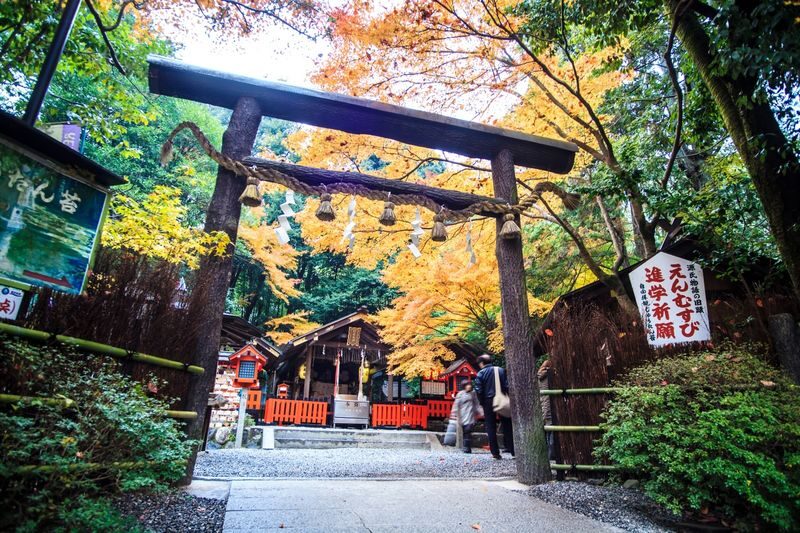 Osaka & Kyoto Scenic Spots One-Day Tour: Katsuoji Temple Prayer & Kinkaku-ji Temple Pilgrimage & Arashiyama Togetsukyo Bridge & Kimono Forest & Bamboo Grove Path & Nonomiya Shrine (Departing from Osaka or Kyoto) - Who should book this day trip?