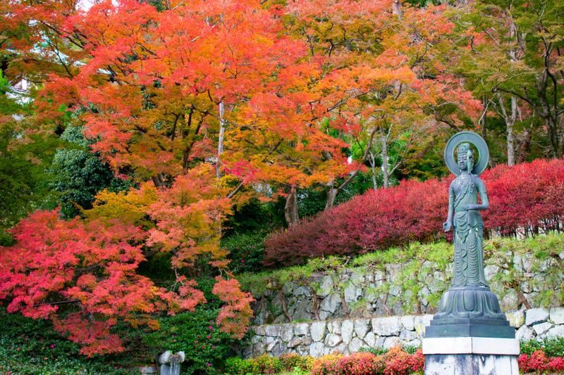 Osaka & Kyoto Scenic Spots One-Day Tour: Katsuoji Temple Prayer & Kinkaku-ji Temple Pilgrimage & Arashiyama Togetsukyo Bridge & Kimono Forest & Bamboo Grove Path & Nonomiya Shrine (Departing from Osaka or Kyoto) - Should you book?