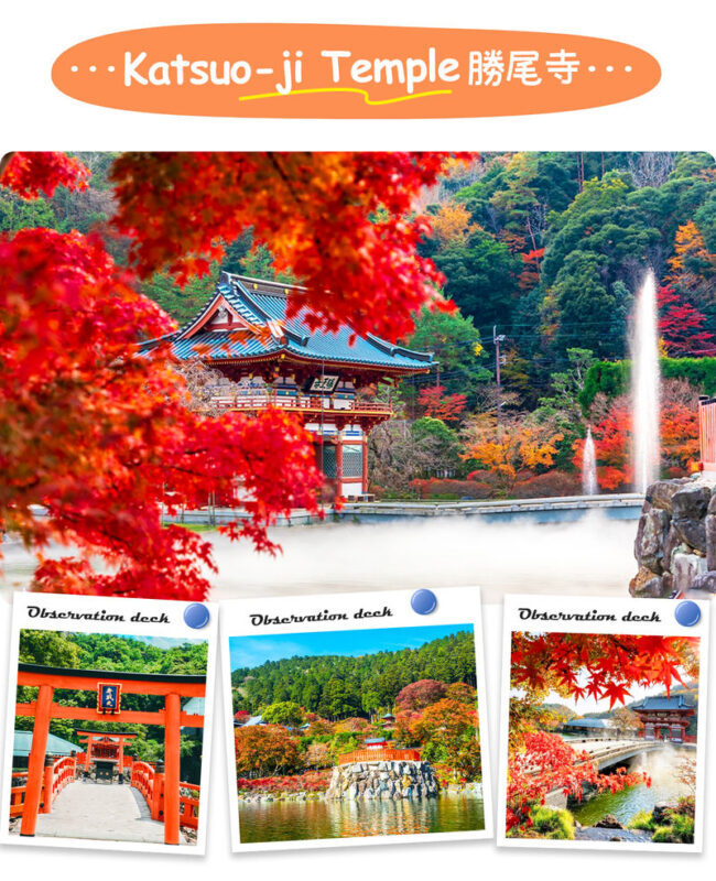 Osaka/Kyoto Secret Day Tour: Katsuo-ji Temple, Otagi Nenbutsu-ji Temple/Jojakko-ji Temple, Arashiyama (Departure from Osaka) - What the guide does, and what you should expect