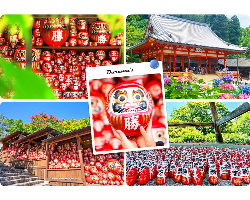 Osaka/Kyoto Secret Day Tour: Katsuo-ji Temple, Otagi Nenbutsu-ji Temple/Jojakko-ji Temple, Arashiyama (Departure from Osaka) - Is $44.85 good value?