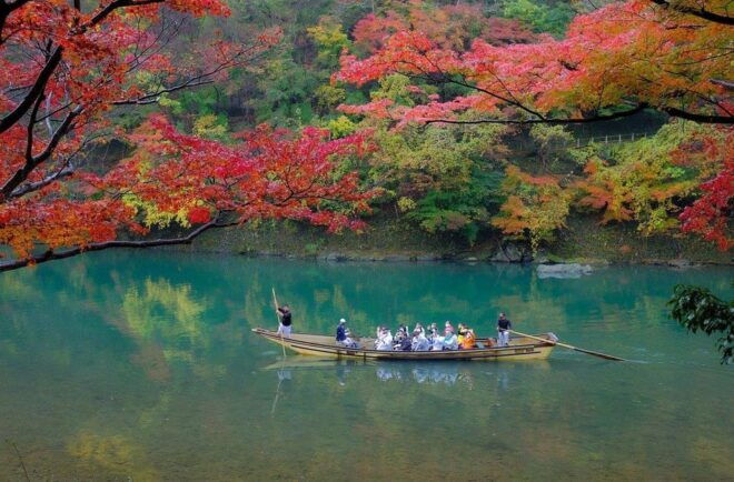 Osaka Kyoto Transfer:10 Hours English Driver - Highlights and Activities