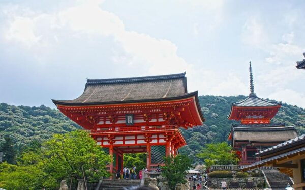 Osaka Kyoto Transfer:10 Hours English Driver - Tips for Your Trip