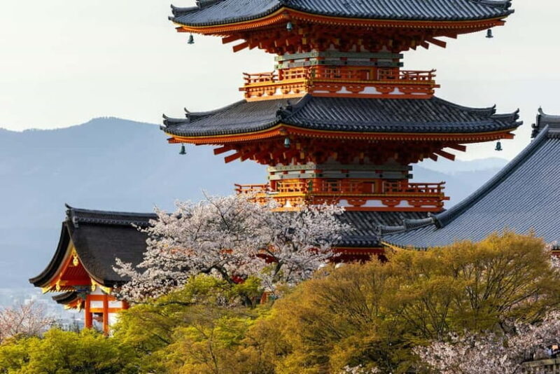Osaka: Kyoto & Uji Historical Sites and Scenic Delights Tour - Practical Details and Considerations