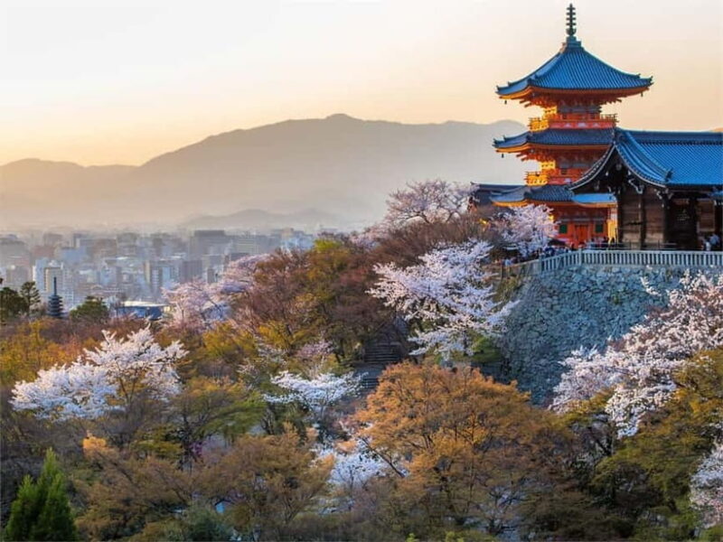 Osaka: Kyoto & Uji Historical Sites and Scenic Delights Tour - The Sum Up