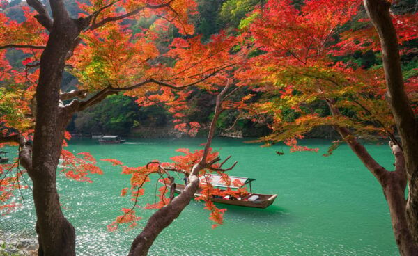 Osaka: Kyoto World Heritage & Nara Cute Deer 1-Day Bus Tour - What to Bring