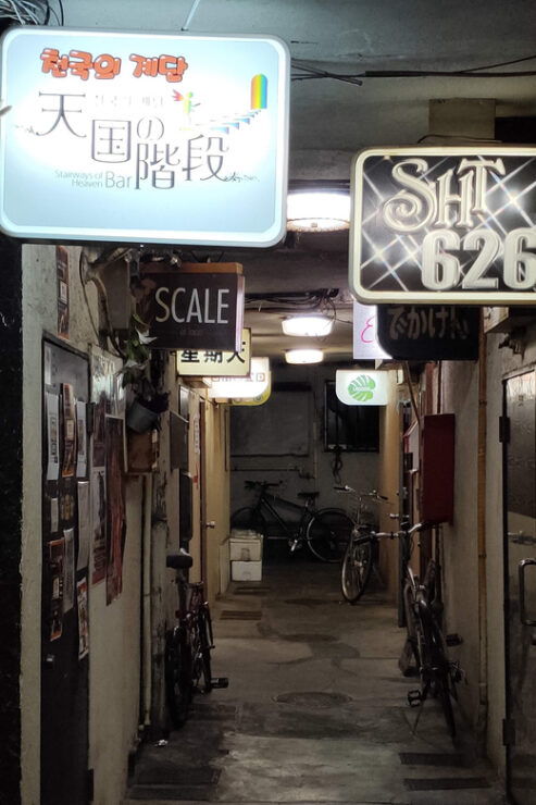 Osaka: Lgbtq+ Tour With Dinner and Drinks - Good To Know