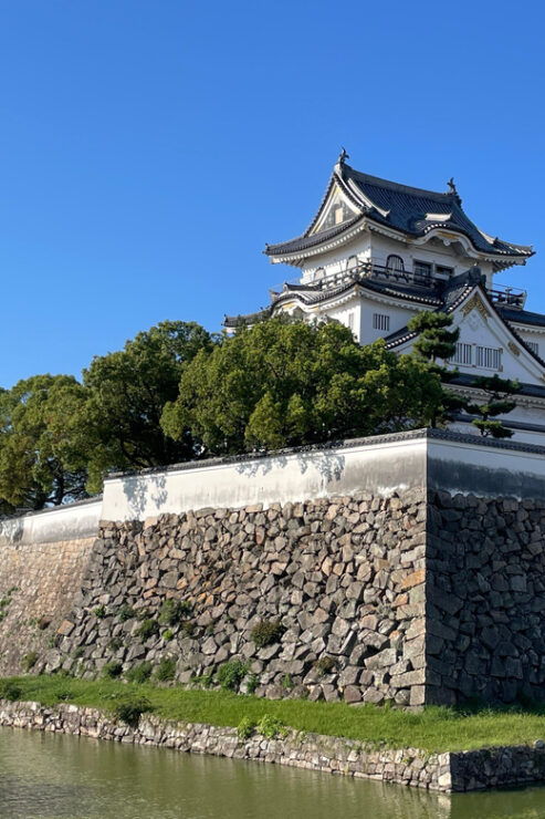 Osaka: Local Castle, Unique Festival & Gardens in 2 Hours - Tour Overview