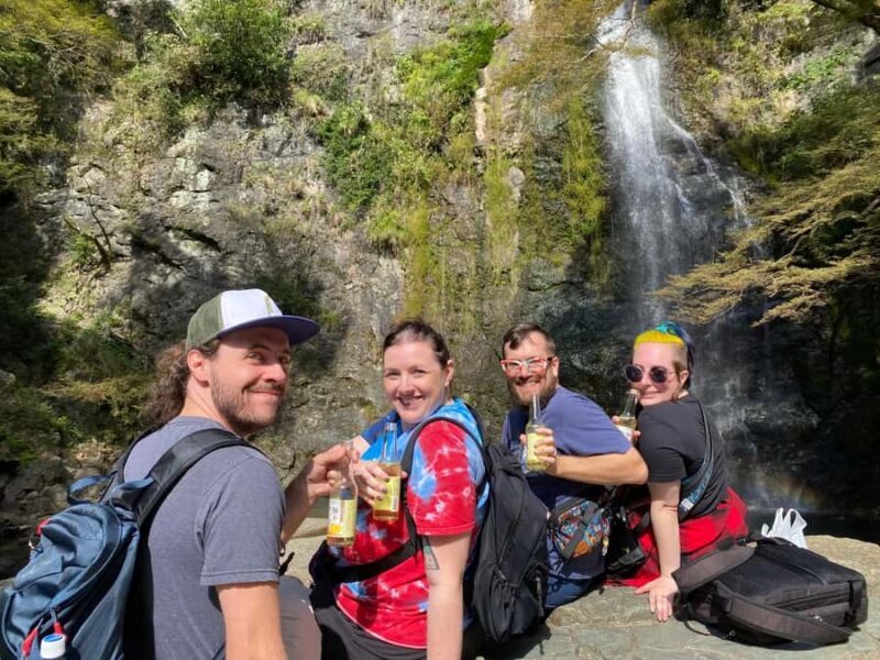 Osaka: Minoh Forest Walk & Giant Waterfall with Local Lunch - Exploring the Minoh Forest Walk & Waterfall Tour