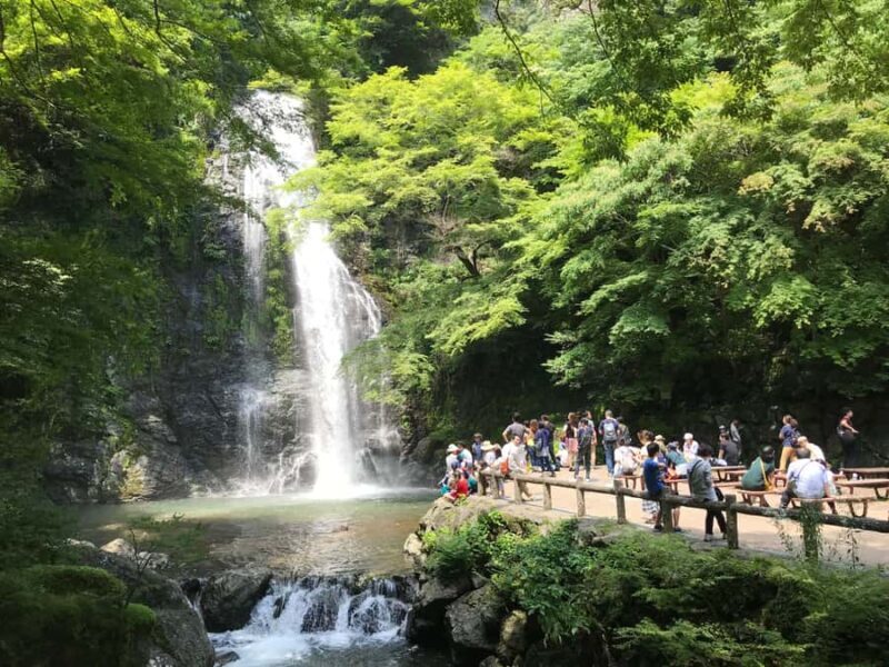 Osaka: Minoh Forest Walk & Giant Waterfall with Local Lunch - Good To Know
