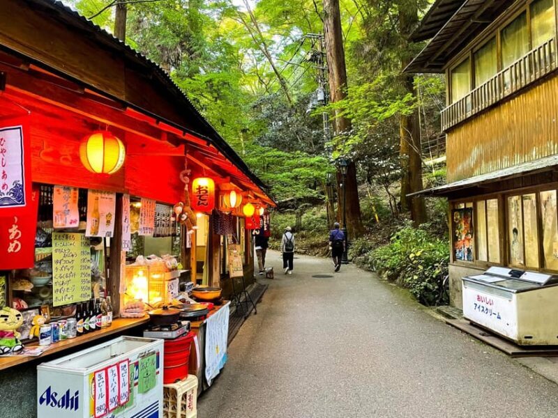 Osaka: Minoh, Katsuoji Temple, & Minoh Falls Full-day Tour - FAQs
