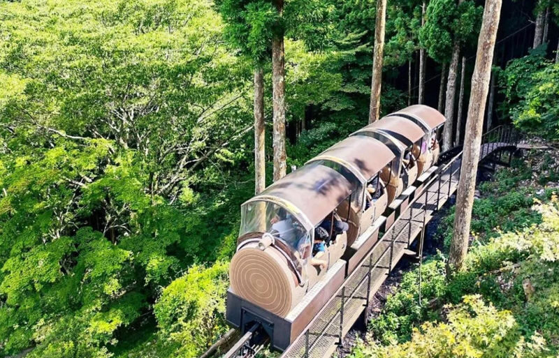 Osaka Mitarai Valley, Menfudo Cave & Tenkawa Shrine Tour - At a glance: three distinct stops