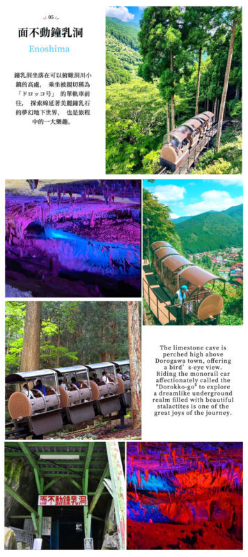 Osaka Mitarai Valley, Menfudo Cave & Tenkawa Shrine Tour - Who should book this trip?