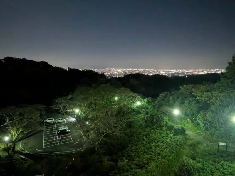 Osaka: Mt. Ikoma Night View Tour with Skyline Tollway - Who Will Love This Tour?