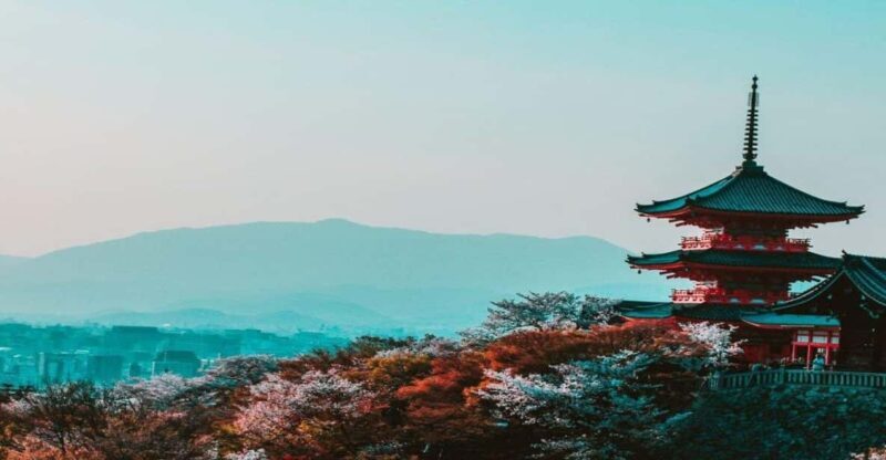 Osaka : Must-see & Hidden Gems Walking Tour - Comprehensive Breakdown of the Tour