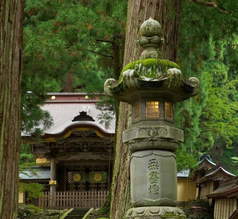 Osaka: Nagano Private Day Trip with English-Speaking Guide - Who Should Consider This Tour?