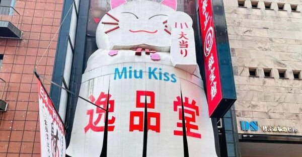 Osaka Namba Hidden Gems: A Friendly Tour Of The Unseen City - Frequently Asked Questions