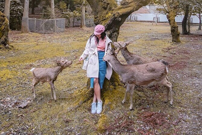 Osaka Namba Nara Yasaka Shrine Tour With AC Private Car by Guide - Practical Considerations