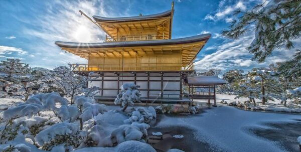 Osaka: Nara and Kyoto Private Day Trip - Tips for Travelers