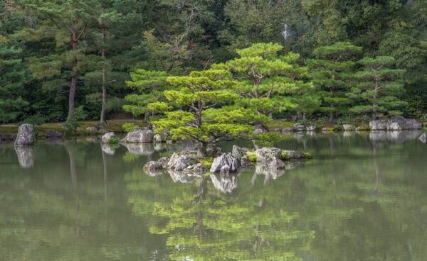 Osaka: Nara and Kyoto Private Day Trip - Best Time to Visit
