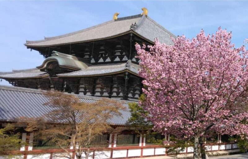 Osaka: Nara and Uji Day Trip with Deer Park and Hot Spring - A Deep Dive into the Itinerary and Highlights