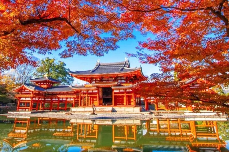 Osaka: Nara and Uji Day Trip with Deer Park and Hot Spring - Final Thoughts: Who Is This Tour For?