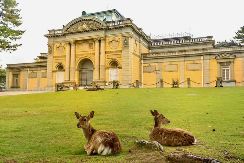 Osaka & Nara Full-Day Private City Highlights Tour - What the Private Format Is Worth