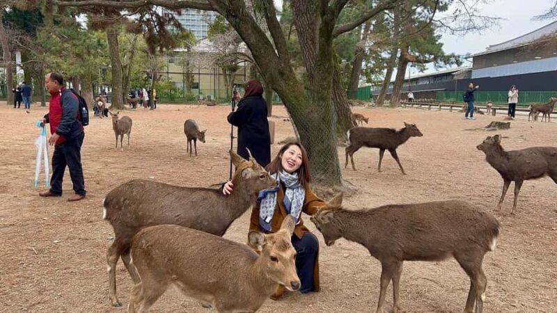 Osaka & Nara: Must-see Spots Full Day Tour with Hotel Pickup - Who Will Love This Tour?