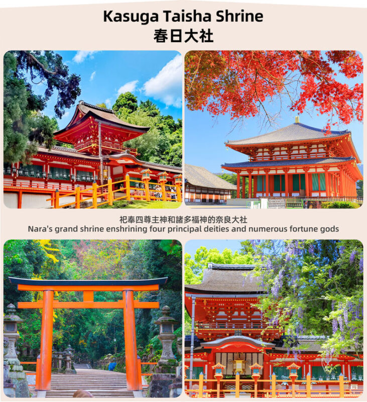 Osaka Nara Park and Mt. Ikoma Amusement Park Full-Day Guided Tour - The ride from Osaka: convenience with a comfort trade-off