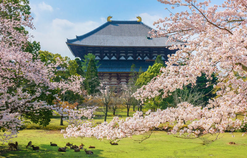 Osaka Nara Park, Arima Onsen & Kobe Port One-Day Tour - Kobe Port: a different finish to the route