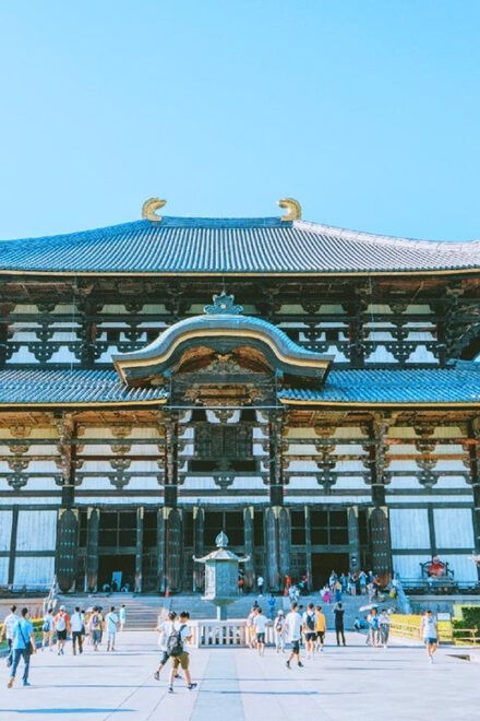 Osaka: Nara Park, Uji Matcha, Todaiji Temple, Onsen Day Tour - Nara Park Experience