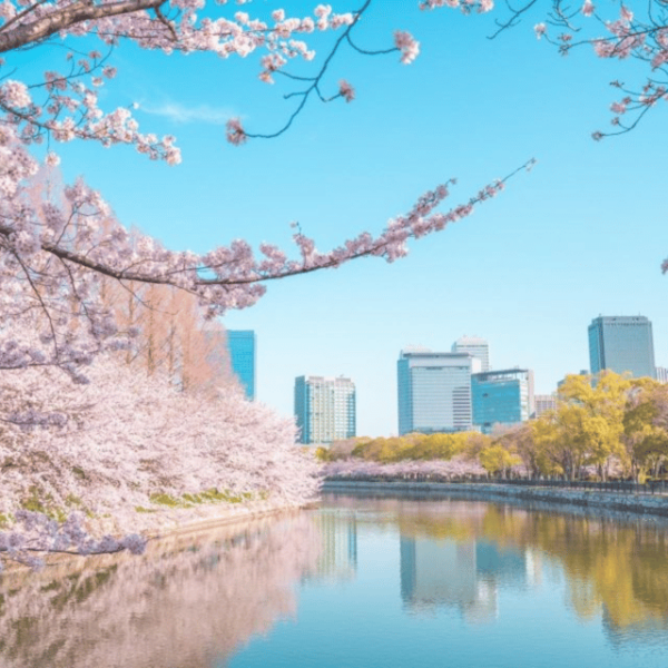Osaka Nara Private & Custom Tour by English Speaking Driver - Traveler Tips